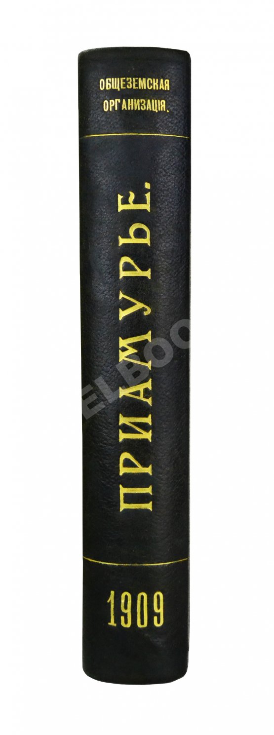 Антикварная книга Приамурье. Факты, цифры, наблюдения