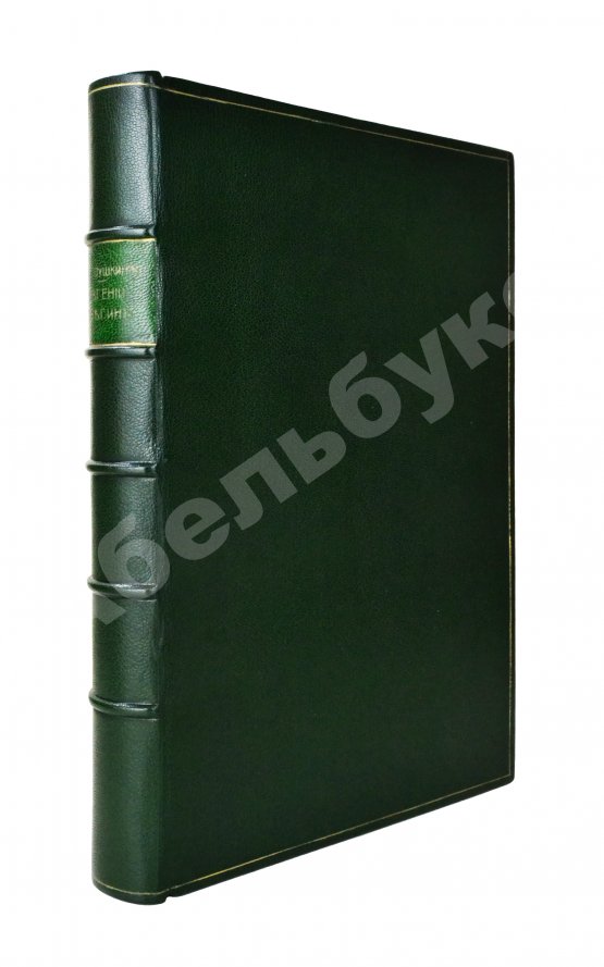 Антикварная книга Пушкин, А.С. Евгений Онегин. Роман