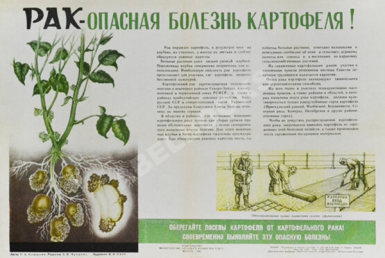 [автограф Василия Шукшина]