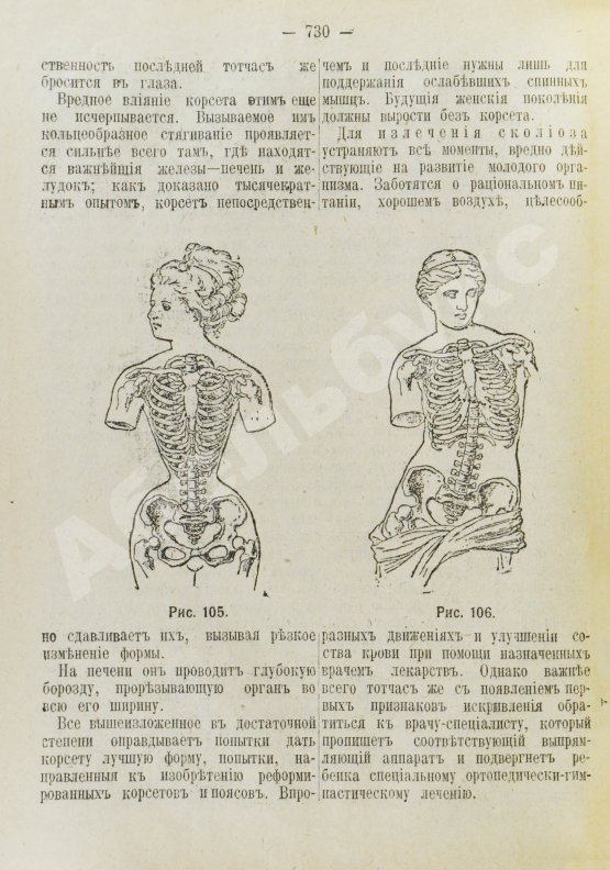 Антикварная книга Воскресенская, С.И. Друг хозяйки