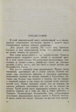 Спивак, Д.Л. Негр из Джорджии