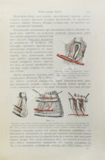 Руководство к лечению зубных болезней
