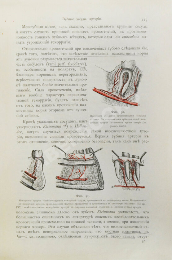 Антикварная книга Руководство к лечению зубных болезней