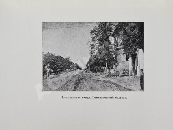 Антикварная книга Сильванский, С.А. [автограф] Старый Херсон