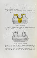 Велау, М. Зубоврачевание в Америке
