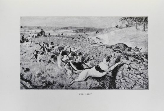 Антикварная книга Герцог Бофорт, Мобрей, М. Охота