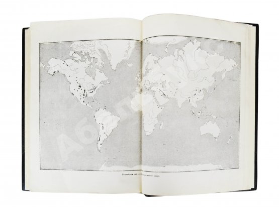 Антикварная книга Гофман, К. Нефтяная политика и англо-саксонский империализм