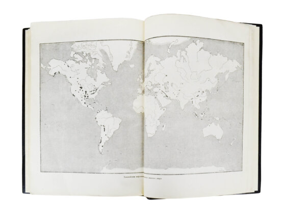 Антикварная книга Гофман, К. Нефтяная политика и англо-саксонский империализм