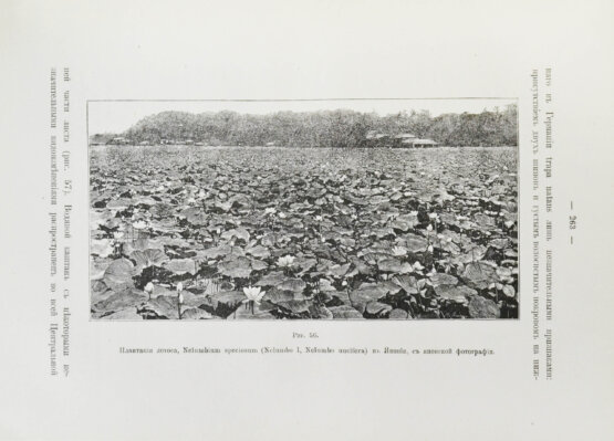 Антикварная книга Клинген, И.Н. Среди патриархов земледелия народов Ближнего и Дальнего Востока