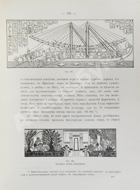 Антикварная книга Клинген, И.Н. Среди патриархов земледелия народов Ближнего и Дальнего Востока