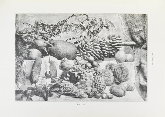 Антикварная книга Клинген, И.Н. Среди патриархов земледелия народов Ближнего и Дальнего Востока