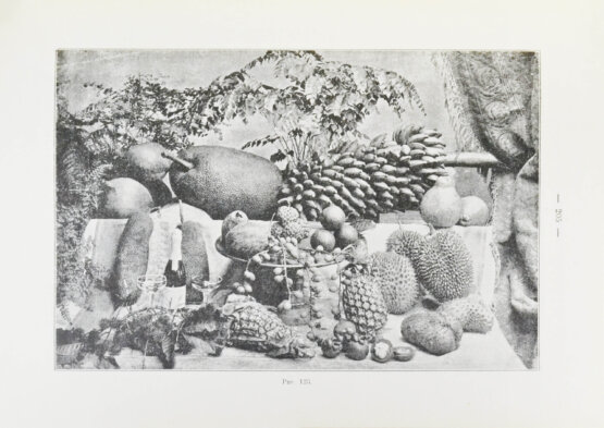 Антикварная книга Клинген, И.Н. Среди патриархов земледелия народов Ближнего и Дальнего Востока