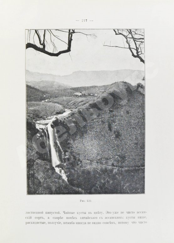 Антикварная книга Клинген, И.Н. Среди патриархов земледелия народов Ближнего и Дальнего Востока