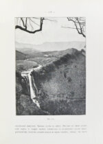 Клинген, И.Н. Среди патриархов земледелия народов Ближнего и Дальнего Востока