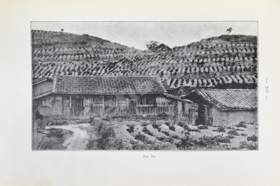 Антикварная книга Клинген, И.Н. Среди патриархов земледелия народов Ближнего и Дальнего Востока