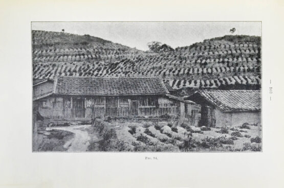 Антикварная книга Клинген, И.Н. Среди патриархов земледелия народов Ближнего и Дальнего Востока