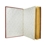 Санкт-Петербург. Путеводитель по столице с историко-статистическим очерком и описанием ее достопримечательностей и учреждений