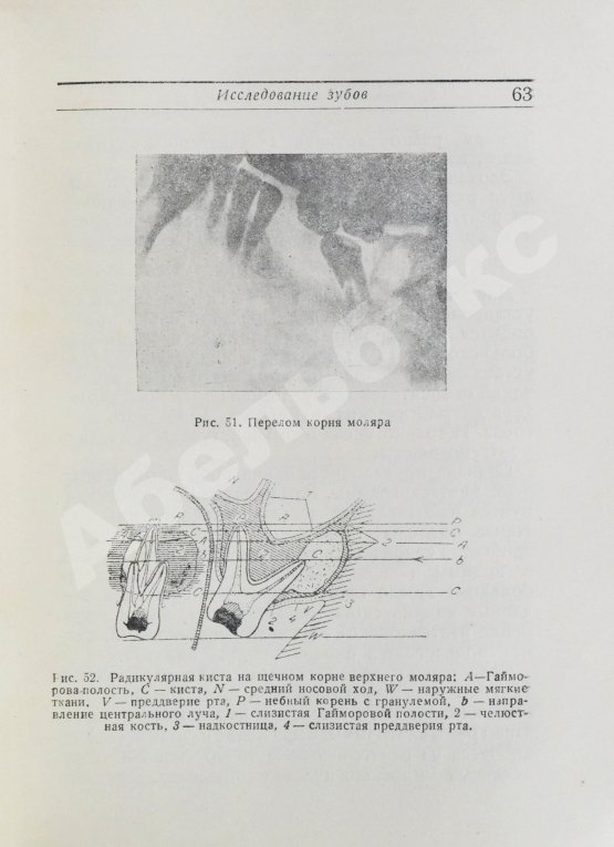 Антикварная книга Гофунг, Е.М., Лукомский, И.Г. Стоматология