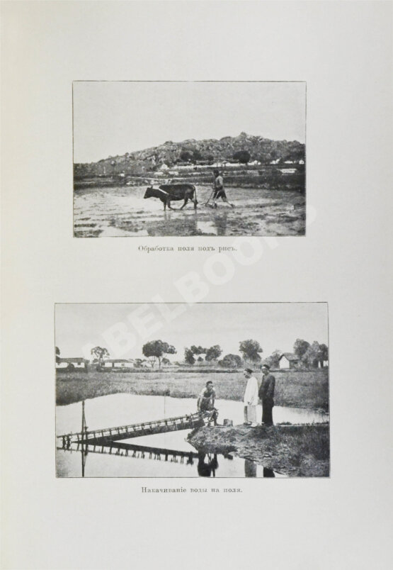 Антикварная книга Макгован, Дж. Китайцы у себя дома