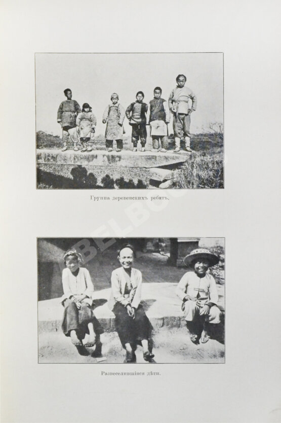 Антикварная книга Макгован, Дж. Китайцы у себя дома