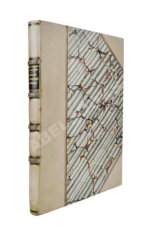 Тульчинский, К.Н. Очерки полезных ископаемых русского Сахалина