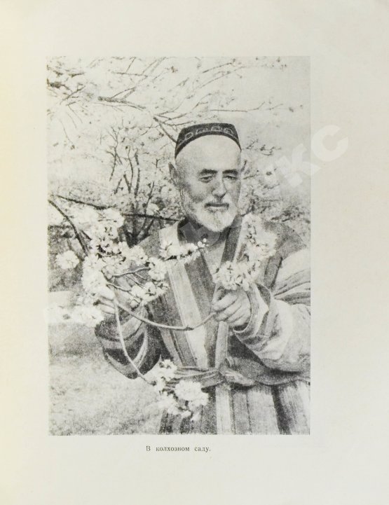 Антикварная книга Лукницкий, П.Н. Таджикистан