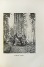 Америка. Иллюстрированный географический сборник