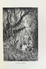 Америка. Иллюстрированный географический сборник