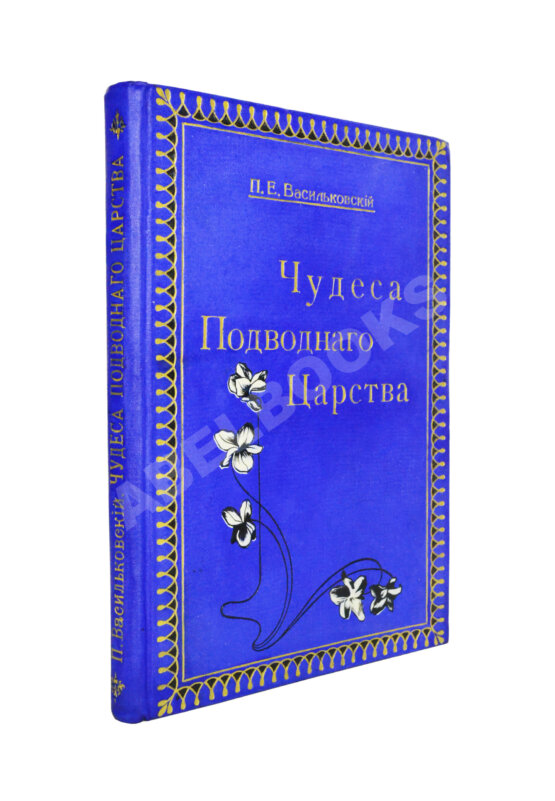 Антикварная книга Васильковский, П.Е. Чудеса подводного царства. Популярные очерки из жизни обитателей вод Антикварная книга Васильковский, П.Е. Чудеса подводного царства. Популярные очерки из жизни обитателей вод