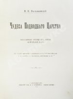 Васильковский, П.Е. Чудеса подводного царства. Популярные очерки из жизни обитателей вод