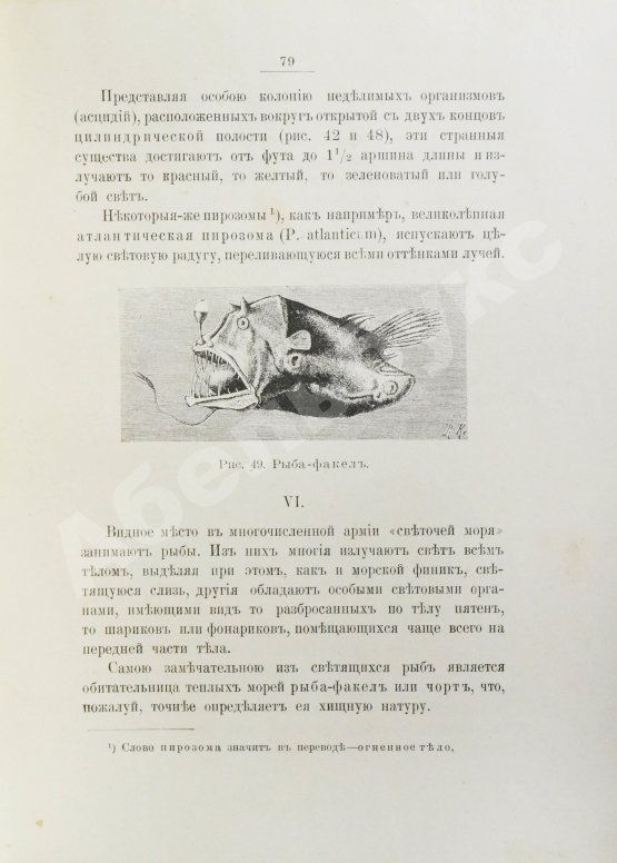 Антикварная книга Васильковский, П.Е. Чудеса подводного царства. Популярные очерки из жизни обитателей вод