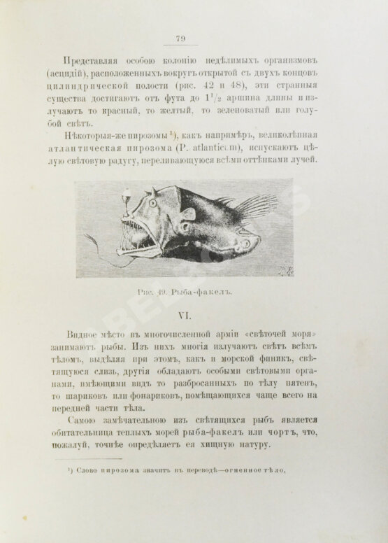 Антикварная книга Васильковский, П.Е. Чудеса подводного царства. Популярные очерки из жизни обитателей вод