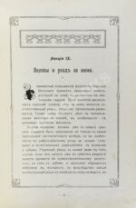 Красота, молодость, грация