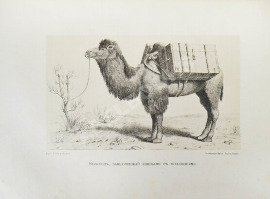 Антикварная книга Пржевальский, Н.М. Из Зайсана через Хами в Тибет и на верховья Жёлтой реки.