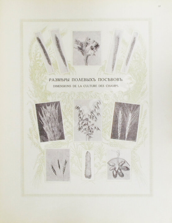 Антикварная книга Сельскохозяйственный промысел в России