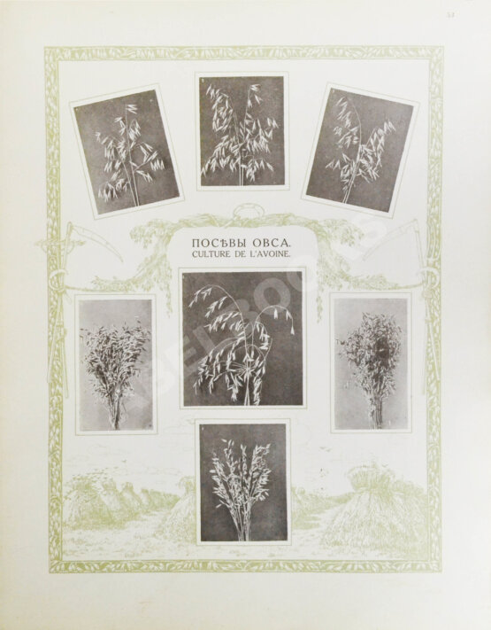 Антикварная книга Сельскохозяйственный промысел в России