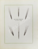 Сельскохозяйственный промысел в России