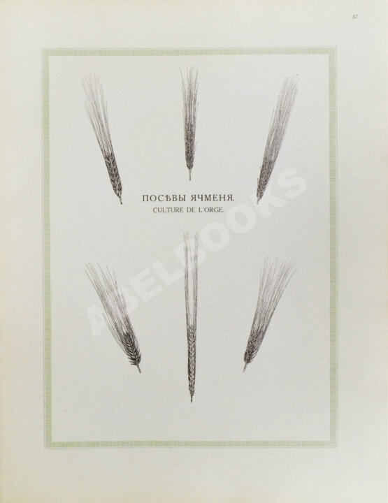 Антикварная книга Сельскохозяйственный промысел в России