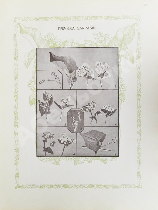 Антикварная книга Сельскохозяйственный промысел в России
