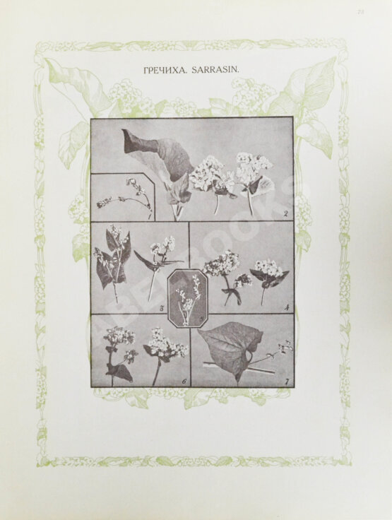 Антикварная книга Сельскохозяйственный промысел в России