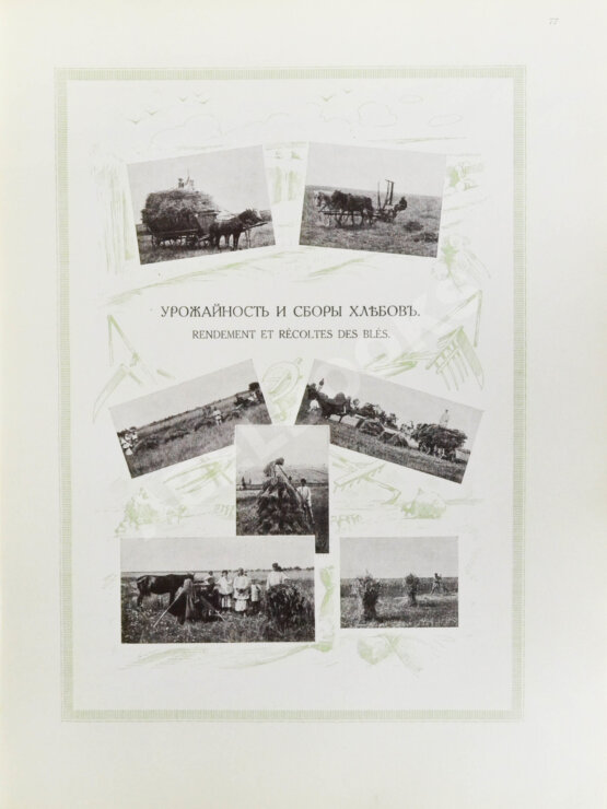 Антикварная книга Сельскохозяйственный промысел в России