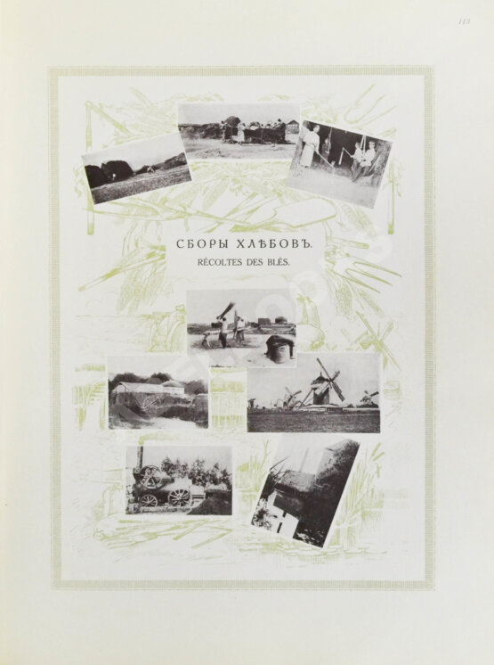 Антикварная книга Сельскохозяйственный промысел в России