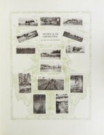 Сельскохозяйственный промысел в России