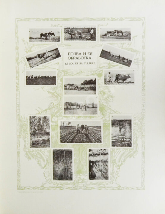 Антикварная книга Сельскохозяйственный промысел в России