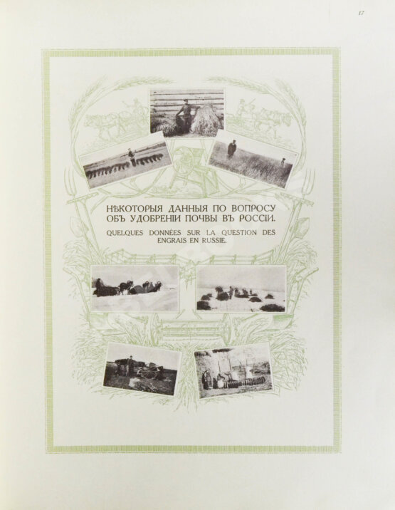 Антикварная книга Сельскохозяйственный промысел в России