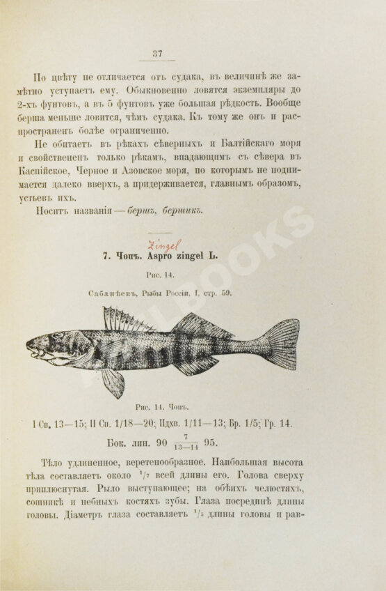 Варпаховский, Н.А. Определитель пресноводных рыб Европейской России