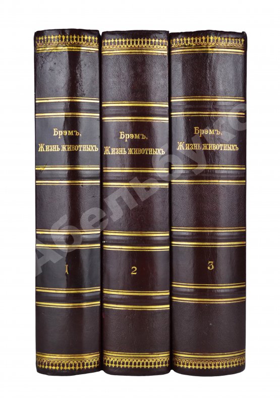 Антикварная книга Брэм, А. Жизнь животных Брэма