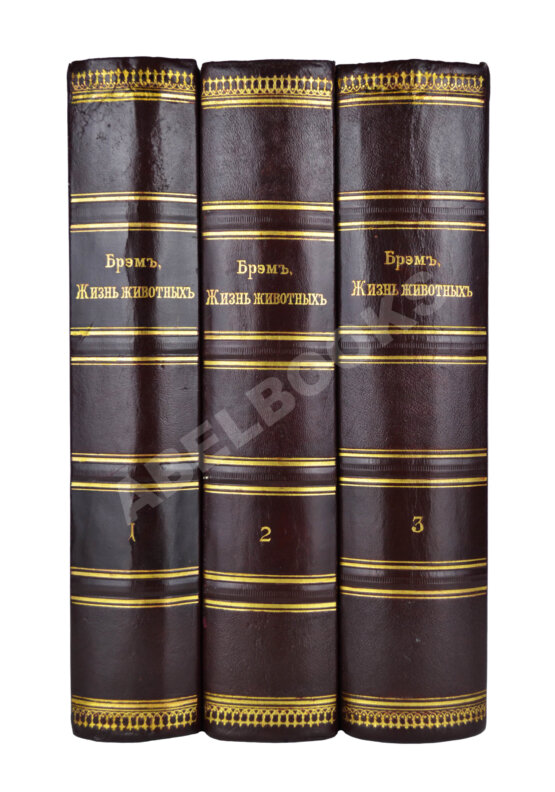 Антикварная книга Брэм, А. Жизнь животных Брэма Антикварная книга Брэм, А. Жизнь животных Брэма