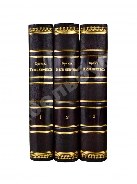 Антикварная книга Брэм, А. Жизнь животных Брэма