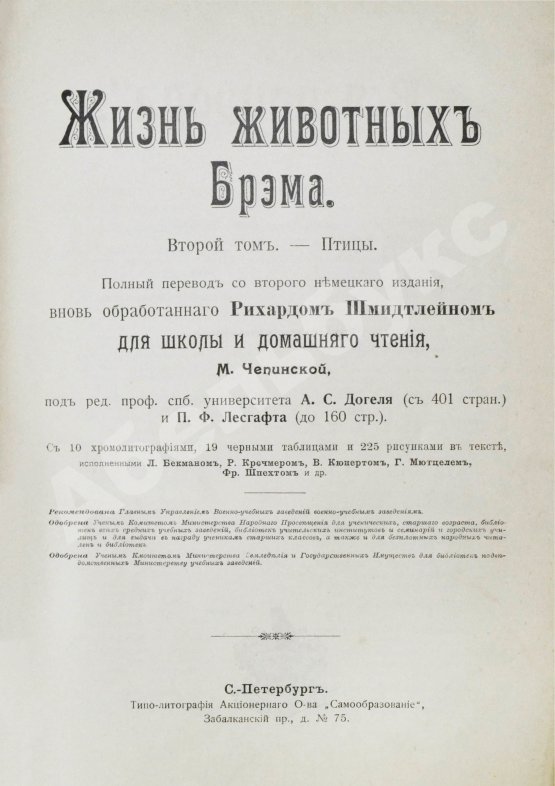 Антикварная книга Брэм, А. Жизнь животных Брэма